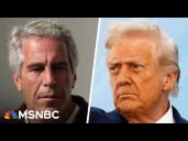 Michelle Goldberg warns Trump's new Epstein ties probe could be a tactic to block the Epstein files 