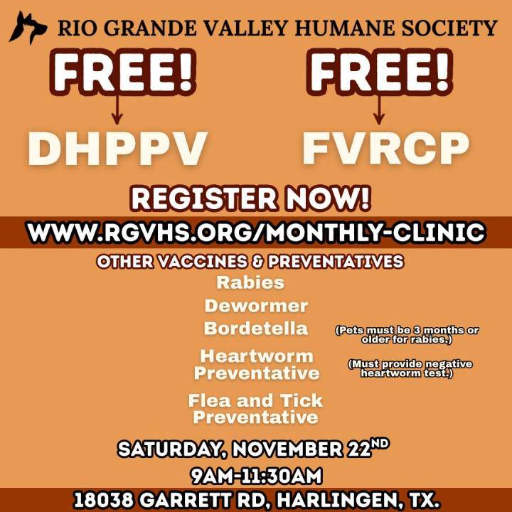 Free vaccines for dogs, cats at Harlingen clinic