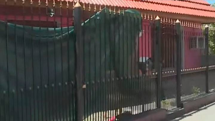 Denuncian que una chica de 16 años mató a puñaladas su novio de 19 en Remedios de Escalada