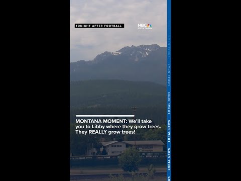 MONTANA MOMENT! NBC Montana’s Kevin Maki takes you to Libby where they grow trees