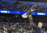 Freedom II makes her Paulson debut