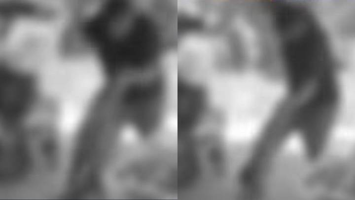 Aberrante: hombre habría ocasionado la muerte de un perro tras propinarle contundente golpiza en Antioquia