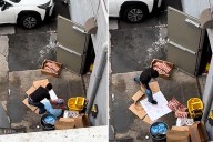 Viral video shows restaurant worker slamming frozen ribs on pavement