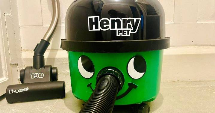 'I swapped my Shark vacuum for a Henry Pet and it's £60 cheaper for Black Friday'