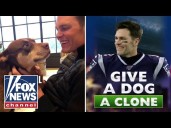 Is this Tom Brady’s ‘divorce dad’ move?