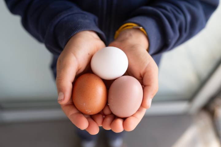 Dear Annie: I’m tired of walking on eggshells around my daughter