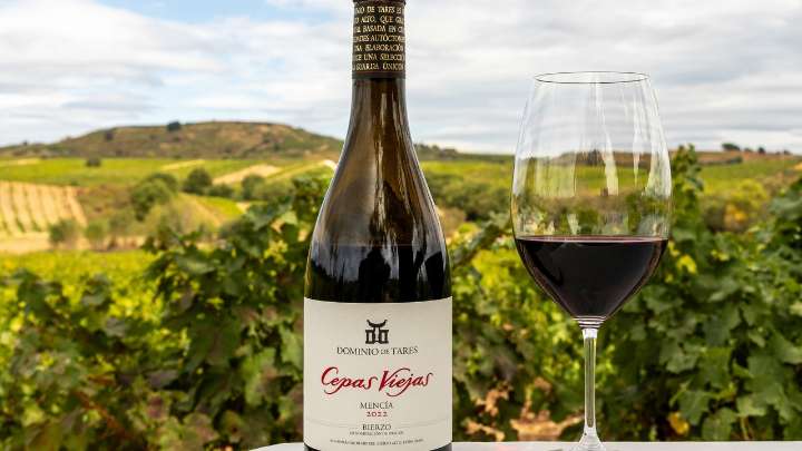 Dominio de Tares celebra 25 vendimias de Cepas Viejas en el corazón del Bierzo