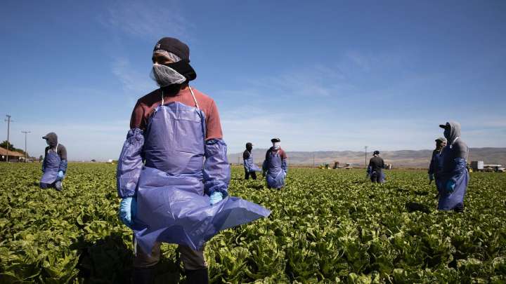 Extraditan a EUA a Mexicano Acusado de Presunta Explotación de Campesinos Migrantes