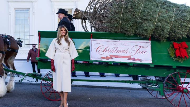Mide más de 20 pies: Melania Trump recibe el árbol de Navidad de la Casa Blanca