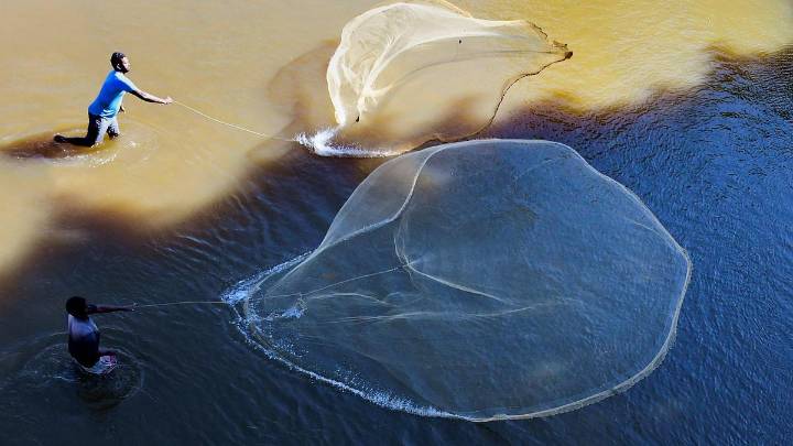 India’s fisheries and aquaculture, its promising course