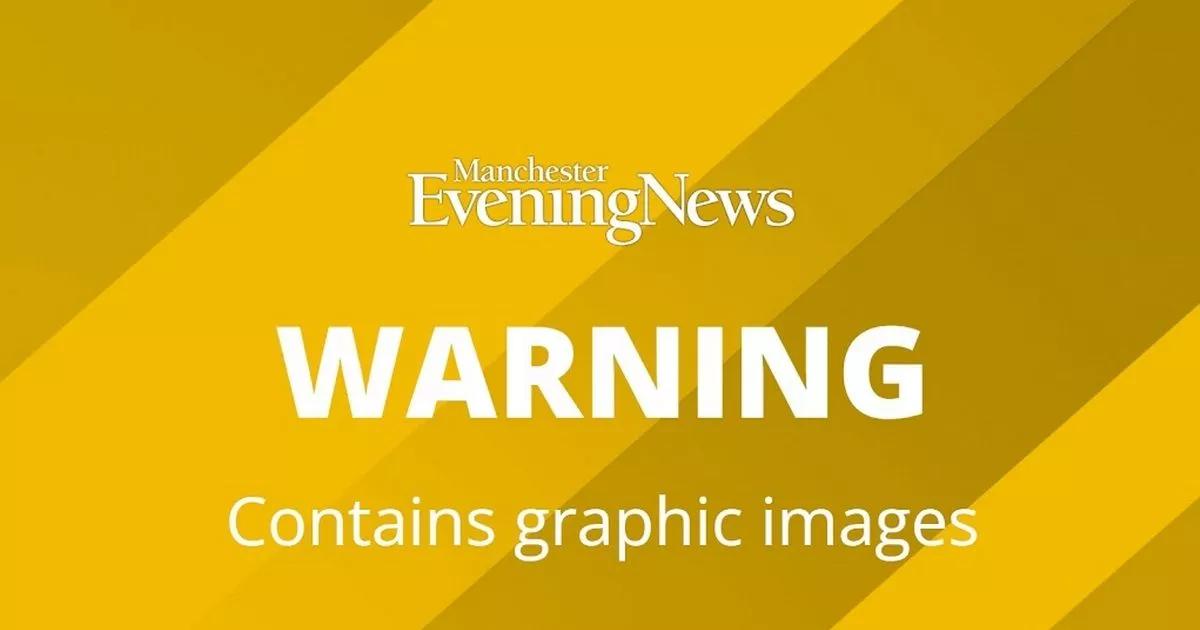 RSPCA appeal for information after underweight French Bulldog found dumped by Tameside canal