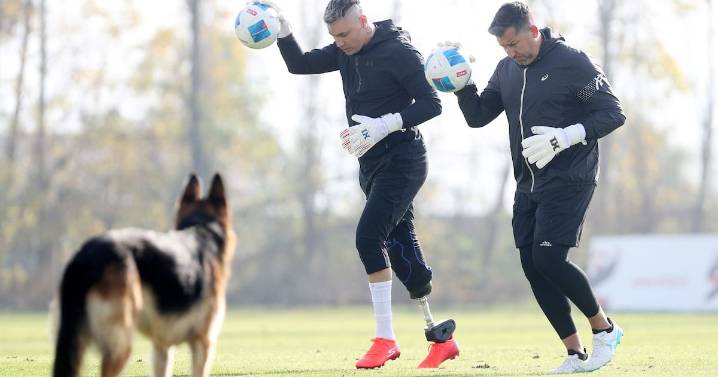 Sifup destaca como finalista para el premio Union Impact por el trabajo con Cristóbal Campos