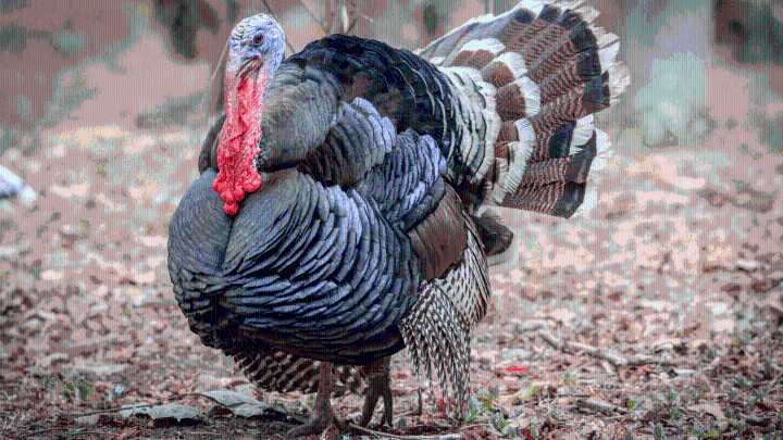 Your Mississippi forecast for Thursday, November 27