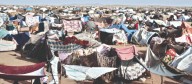 Sudan: RSF agrees to humanitarian ceasefire