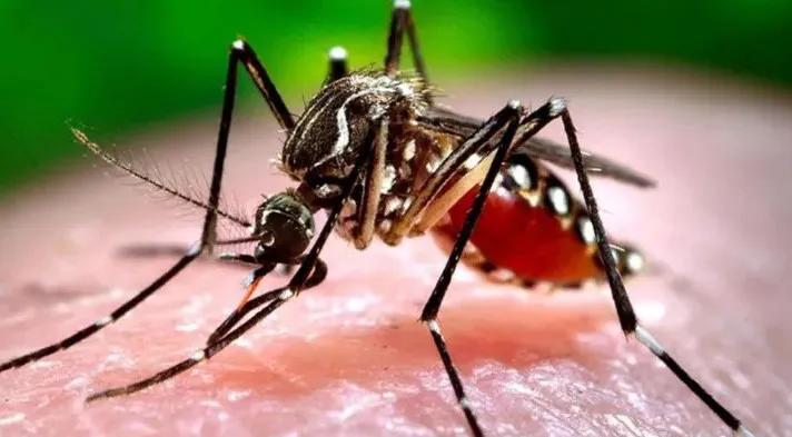 Recomendaciones para prevenir el Dengue