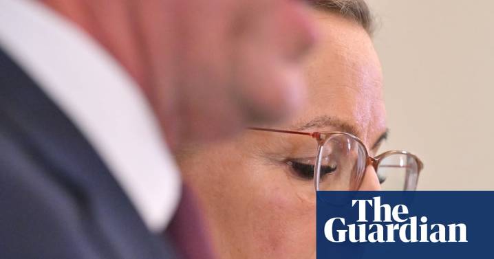 Liberals formally abandon emissions target but Ley says reaching net zero would still be ‘welcome outcome’