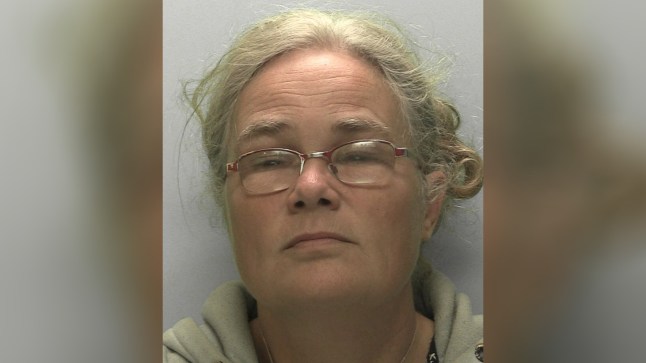 Woman banned from Devon for life for ‘campaign of harassment’ against family