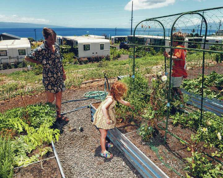 Tiny homes in Lahaina offer a new model of disaster recovery