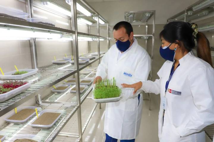 Proponen implementar mesa de trabajo para destrabar importación de semillas