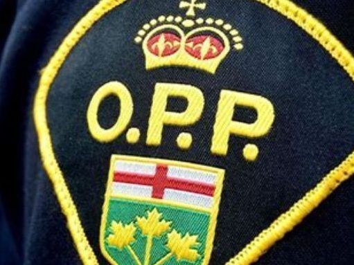 Wiarton woman dies in collision south of Owen Sound Monday