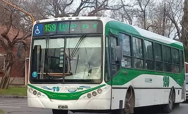 Rige sorpresivo paro de micros en el AMBA: ¿afecta a los usuarios de La Plata?