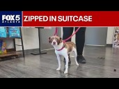 Pup zipped in suitcase, thrown in dumpster