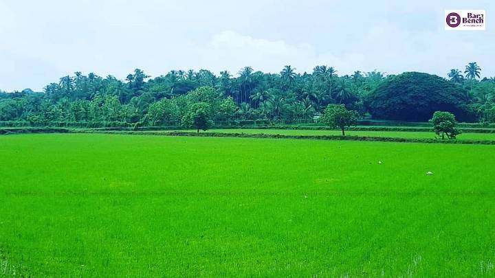 Kerala High Court slams revenue officials for copy-paste orders on paddy land conversion applications