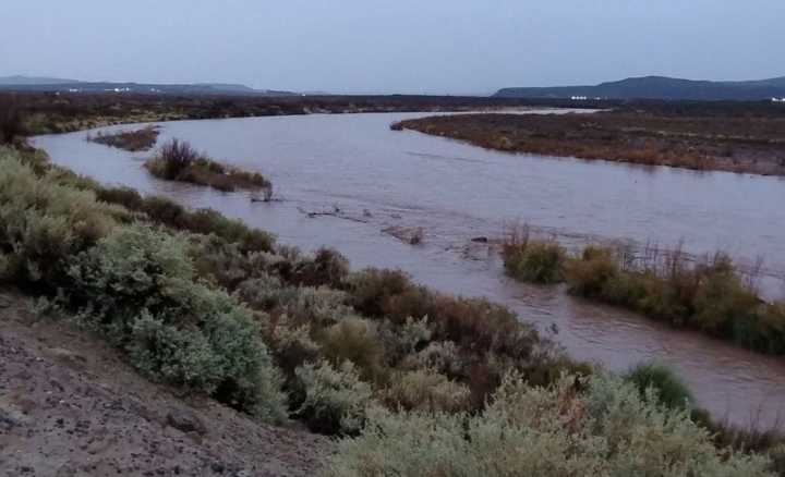 Conicet aprobó un proyecto de la UNLPam para analizar el agua del Colorado