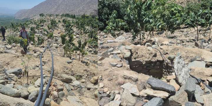 Hallan plantación de mangos y restos cerámicos expuestos en la zona arqueológica Salitre durante inspección que alerta riesgos al patrimonio
