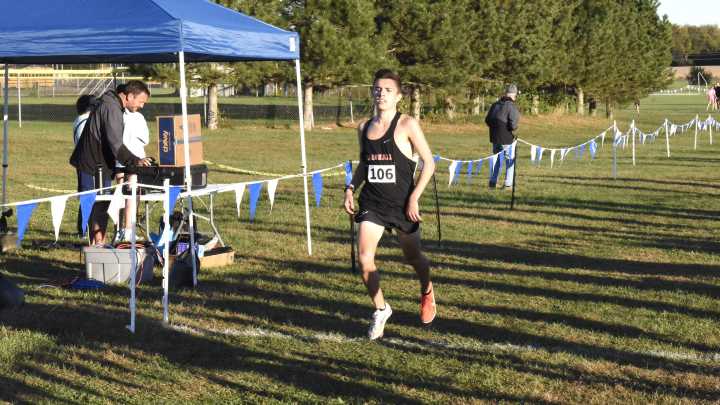 Lakeview, Marshall runners excel at state cross country finals