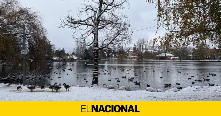 Fotos de postal en la primera nevada de la temporada en el Ripollès y la Cerdanya
