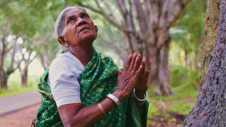‘Mother of Trees’ Saalumarada Thimmakka passes away at 114