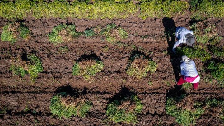 Se abren las postulaciones al Premio Mujer del Agro Mónica Gebert 2025