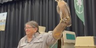 Macomb students learn the importance of protecting birds of prey
