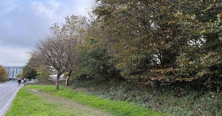 Loads of places up for grabs - including beach, flats and garages