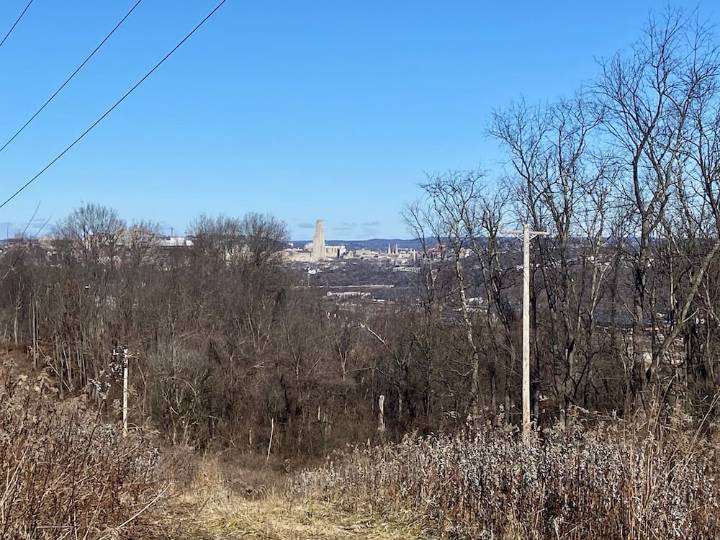 Season 2 of ‘For The Love Of Parks’ Podcast Debuts with a Look at Hays Woods