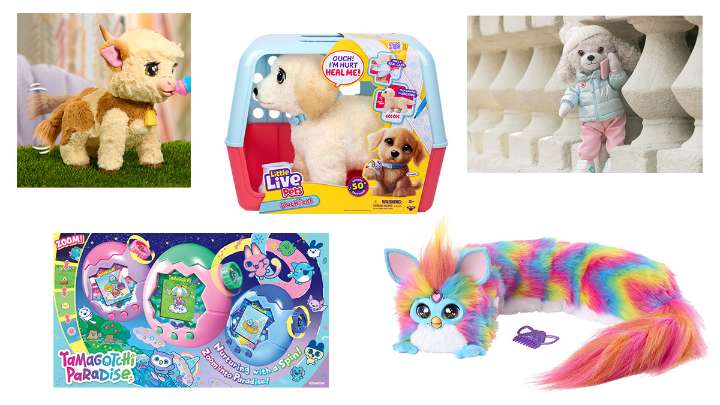 Pets with no mess: Holiday Hit gift ideas for 2025