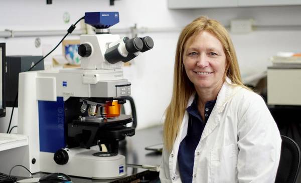 Premian a una bióloga del Conicet por crear cultivos resistentes al calor