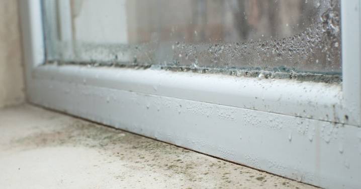 'I reduce condensation and keep windows mould