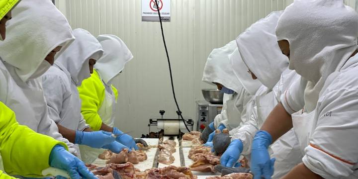 Cómo cambian los contratos y los salarios de los trabajadores con la Reforma Laboral: tiktoker hizo curiosa explicación