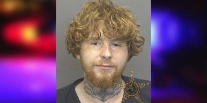 EPD: Drunk driver hits tree after causing damage in Towne Centre parking lot