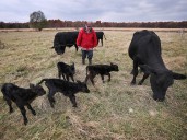 'We were just shocked' — Kingsville cow gives one-in