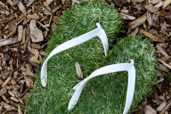 10 Washington-Themed Christmas Gifts Everyone Will Love