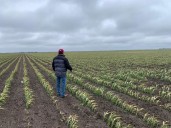 Transportistas se unen al paro nacional de agricultores del próximo lunes 24: prevén cierre de carreteras y puentes internacionales