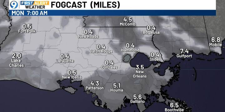 Morning fog, warmer temperatures ahead