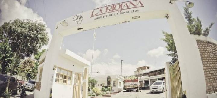VENTAS DE COOPERATIVA LA RIOJANA ESTÁN 300 MIL LITROS ABAJO DEL PUNTO DE EQUILIBRIO