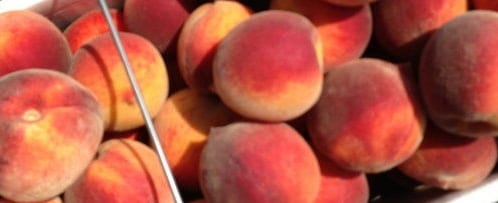 Moonlight Companies Recalls California-Grown Peaches Over Possible Listeria Contamination
