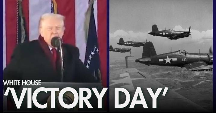 WATCH: Trump says Veterans Day is 'Victory Day'