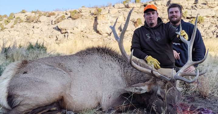 Community Submission: Protecting the Greater Little Mountain Area