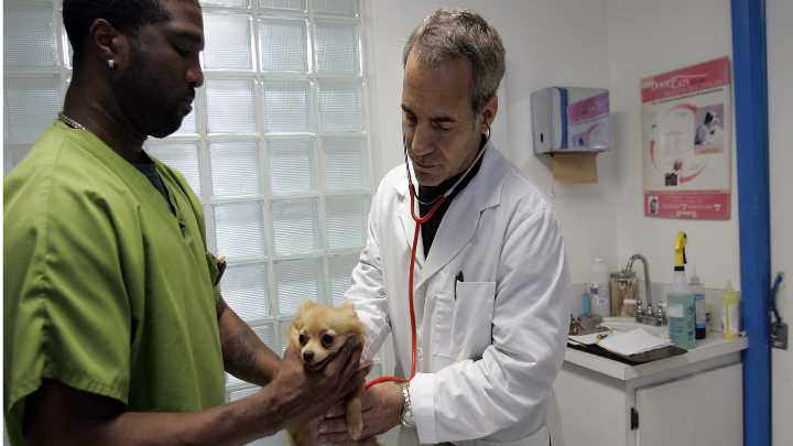 Everything’s more expensive!! Pet Care!! Concert Tickets!! (Two Indicators) : Planet Money : NPR